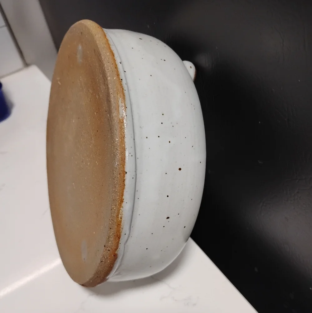 Pet Travel Water Bowl